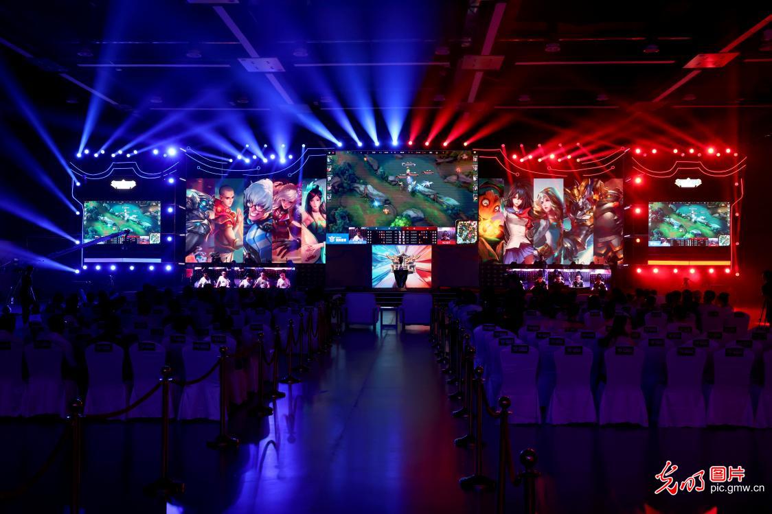 法律的介入 法律的介入