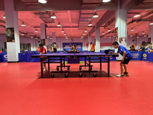 泰山队在主 泰山队在主